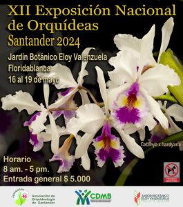 Exposiciones