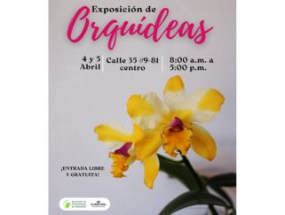 Exposición de Orquideas